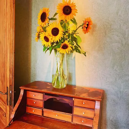 Vila Ferienvilla Jagdschloss Friedrichsmoor *