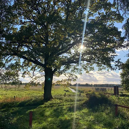 Vila Ferienvilla Jagdschloss Friedrichsmoor